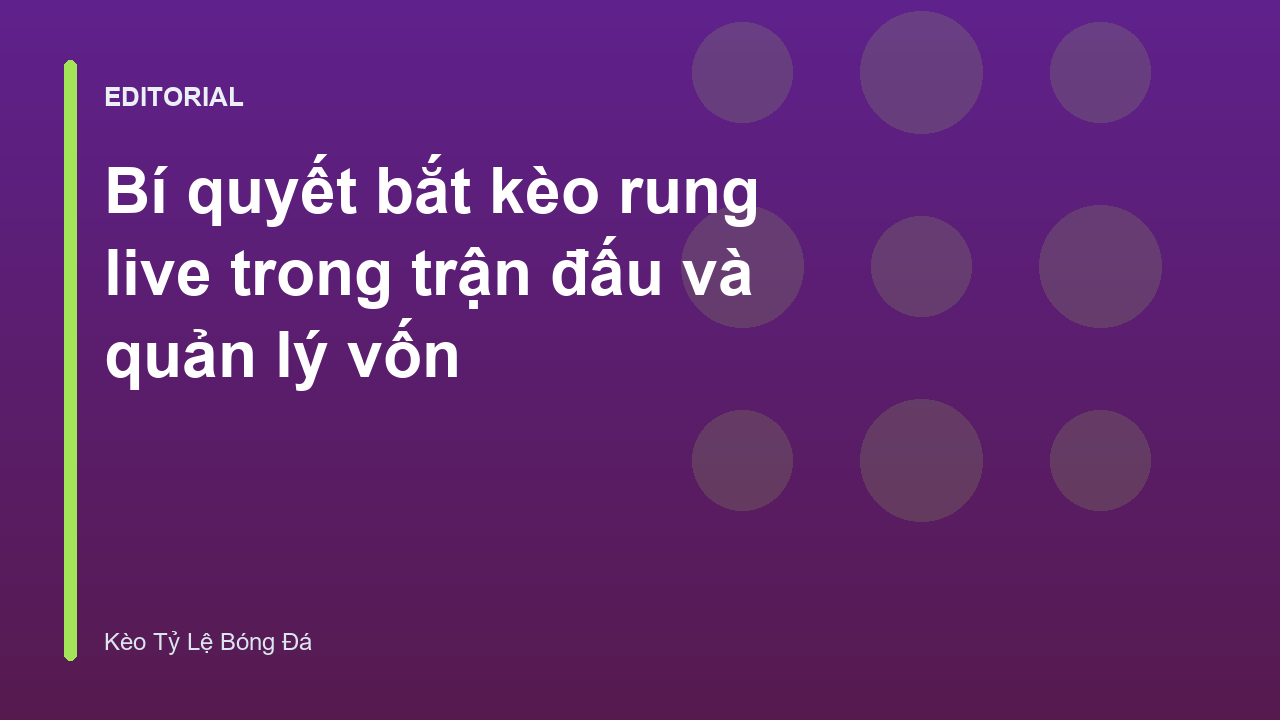 Người chơi đang phân tích kèo rung live trên máy tính